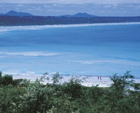Book Bremer Bay Accommodation Vacations Attractions Sydney Attractions Sydney