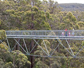 Walpole Wilderness Discovery Centre - Attractions Sydney 0