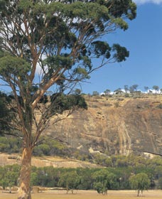  Attractions Sydney