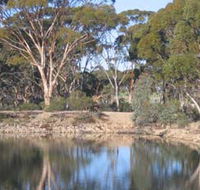 Merredin Railway Dam - Attractions Sydney