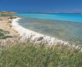 Paradise Beach - Attractions Sydney 0