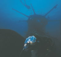 Swan Dive Wreck - Attractions Sydney