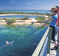 Shark Bay Marine Park - Attractions Sydney