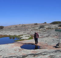 Dingo Rock - Attractions Sydney
