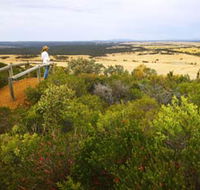Archer Drive Scenic Drive and Lookout - Attractions Sydney