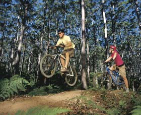 Leeuwin-Naturaliste National Park - Cowaramup - Attractions Sydney 0