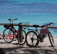 Parker Point Marine Snorkel Trail - Attractions Sydney