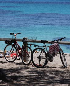 Parker Point Marine Snorkel Trail - Attractions Sydney 0
