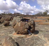 Gathercole Nature Reserve - Attractions Sydney