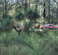 Bridgetown Jarrah Park - Attractions Sydney