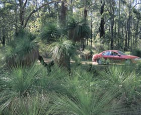 Bridgetown Jarrah Park - Attractions Sydney 0