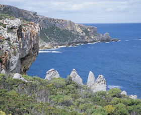 Point D'Entrecasteaux - Attractions Sydney 0