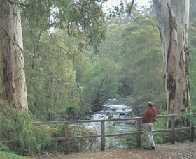 Cascades - Attractions Sydney 0