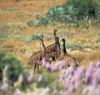 Jurabi Coastal Reserve - Attractions Sydney