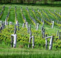 Sienna Estate Winery - Attractions Sydney