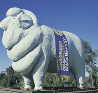 Giant Ram Tourist Park - Attractions Sydney