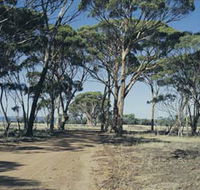 Lake Dumbleyung - Attractions Sydney