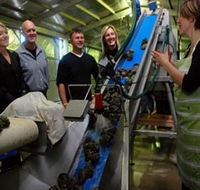 Eyre Peninsula's Seafood Trail - Attractions Sydney