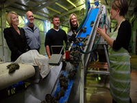 Book Port Lincoln Accommodation Vacations Attractions Sydney Attractions Sydney