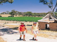 Book Clare Accommodation Vacations Attractions Sydney Attractions Sydney