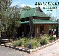 Rain Moth Gallery - Attractions Sydney