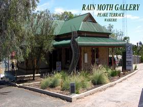 Rain Moth Gallery - Attractions Sydney 0