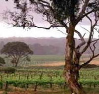 Yangarra Estate Vineyard - Attractions Sydney