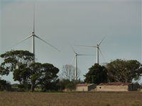 Book Edithburgh Accommodation Vacations Attractions Sydney Attractions Sydney