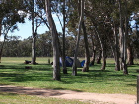 Naracoorte SA Attractions Sydney
