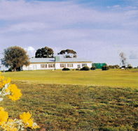 Lucindale Country Club - Attractions Sydney