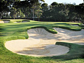  Attractions Sydney