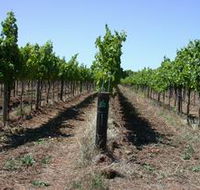 Temple Bruer Winery - Attractions Sydney