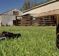 Wilkadene Woolshed Brewery - Attractions Sydney