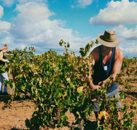 Torbreck Vintners - Attractions Sydney