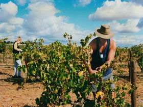 Torbreck Vintners - Attractions Sydney 0