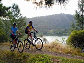 Mount Gambier Crater Lakes Mountain Bike Trail - Attractions Sydney 0