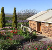 Coriole Vineyards - Attractions Sydney