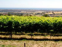 Book Hackham Accommodation Vacations Attractions Sydney Attractions Sydney