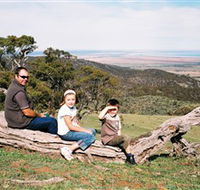 Bridle Track - Attractions Sydney