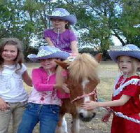Amberainbow Pony Rides - Attractions Sydney