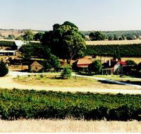 Irvine Wines - Attractions Sydney