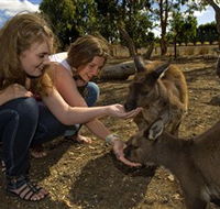Kangaroo Island Wildlife Park - Attractions Sydney