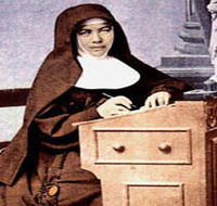 Mary MacKillop Penola Centre - Attractions Sydney