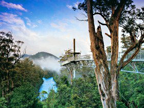  Attractions Sydney