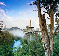 Tahune Adventures Tasmania - Attractions Sydney