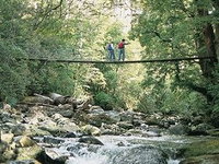 Arve Forest Drive
