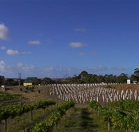 Deep Creek Wines and Alpacas - Attractions Sydney