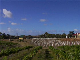 Deep Creek Wines And Alpacas - Attractions Sydney 0