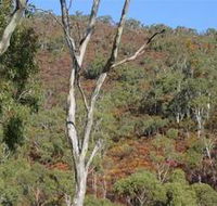 Black Hill Conservation Park - Attractions Sydney