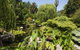 Adelaide Himeji Garden - thumb 0